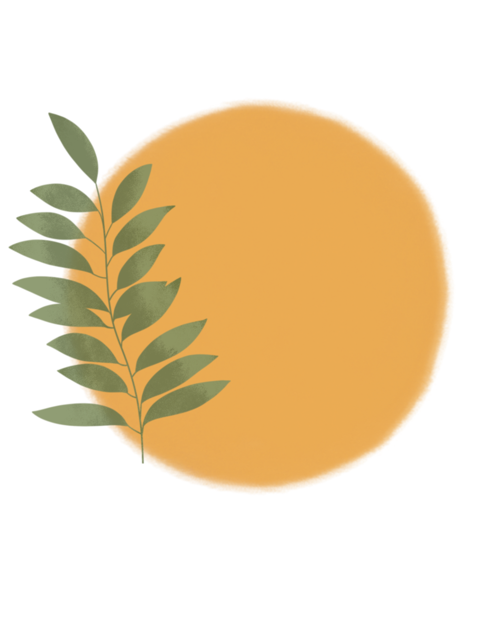 logo sin B fondo transparente